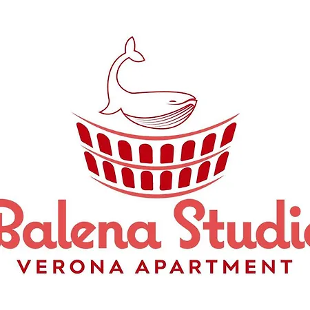 Balena Studio Centro Apartman